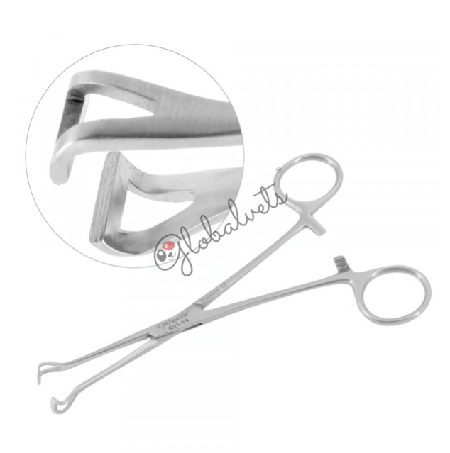 Intestinal Instruments